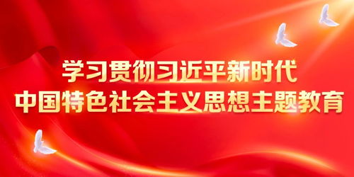 坚定信念 开创未来——中国人寿集团党委书记白涛讲授主题教育专题党课